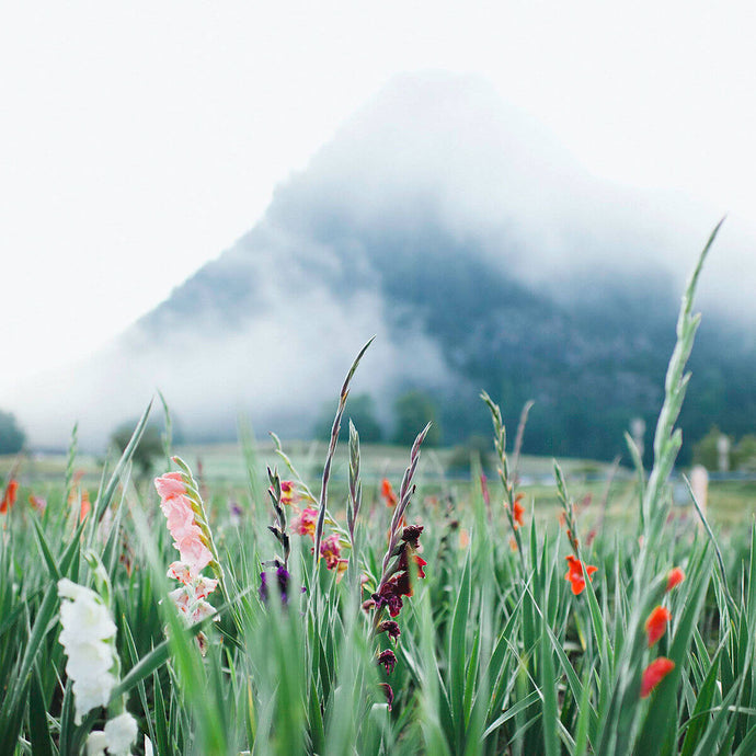 How to Replace Jealousy with God's Gift of Abundance