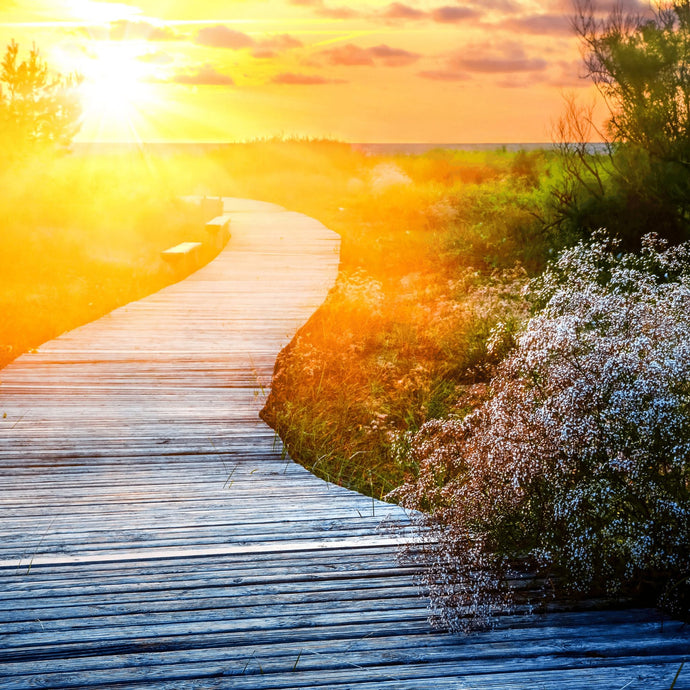 How a Friendship with Jesus Helps you Discover your Purpose