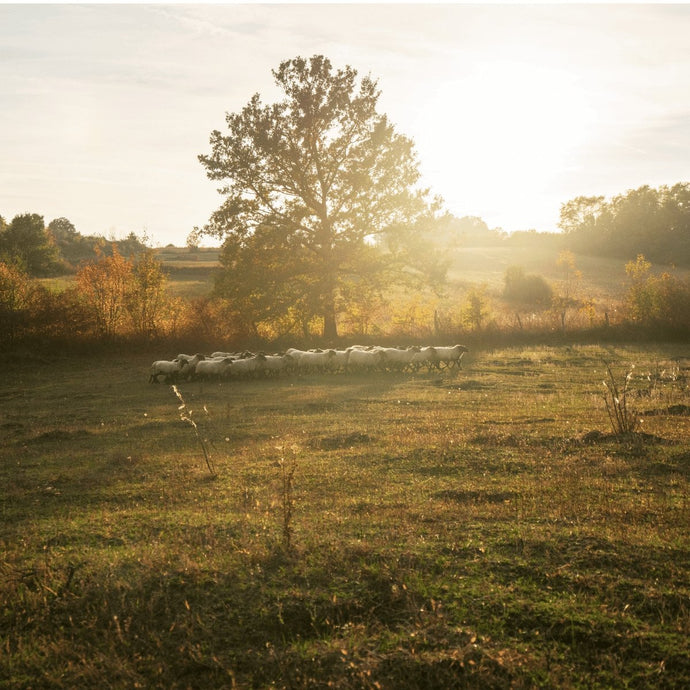 How Scripture Can Help you Discover your Purpose in Life