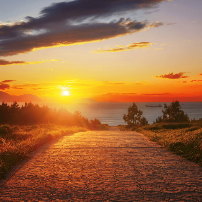 How to  Stop Guessing and Start Discovering the Plans God has for You